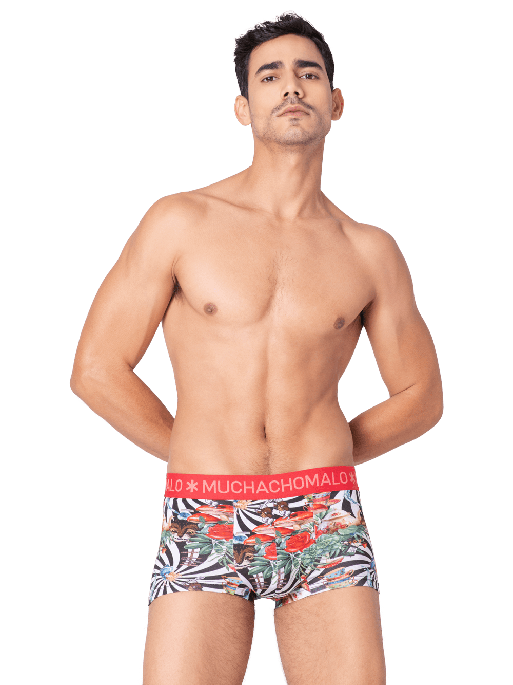 Heren 2-pack Trunks Jackbean Alicewonder