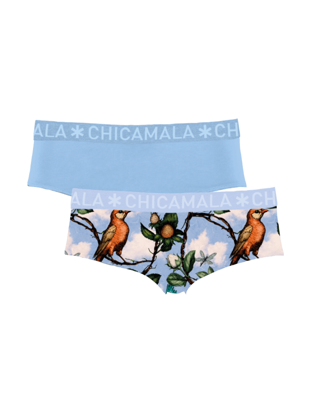 Meisjes 2-pack Briefs