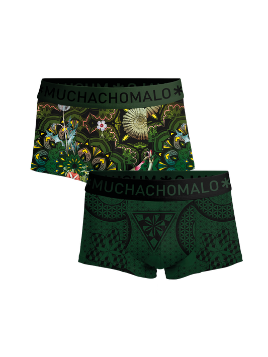 Heren 2-pack Trunks Geometric
