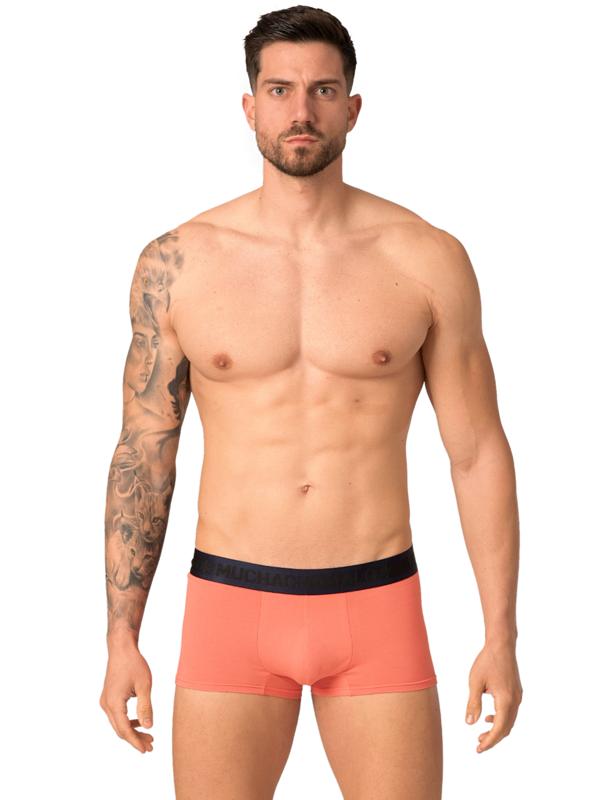 Heren 4-pack Trunks Leafs Lick it