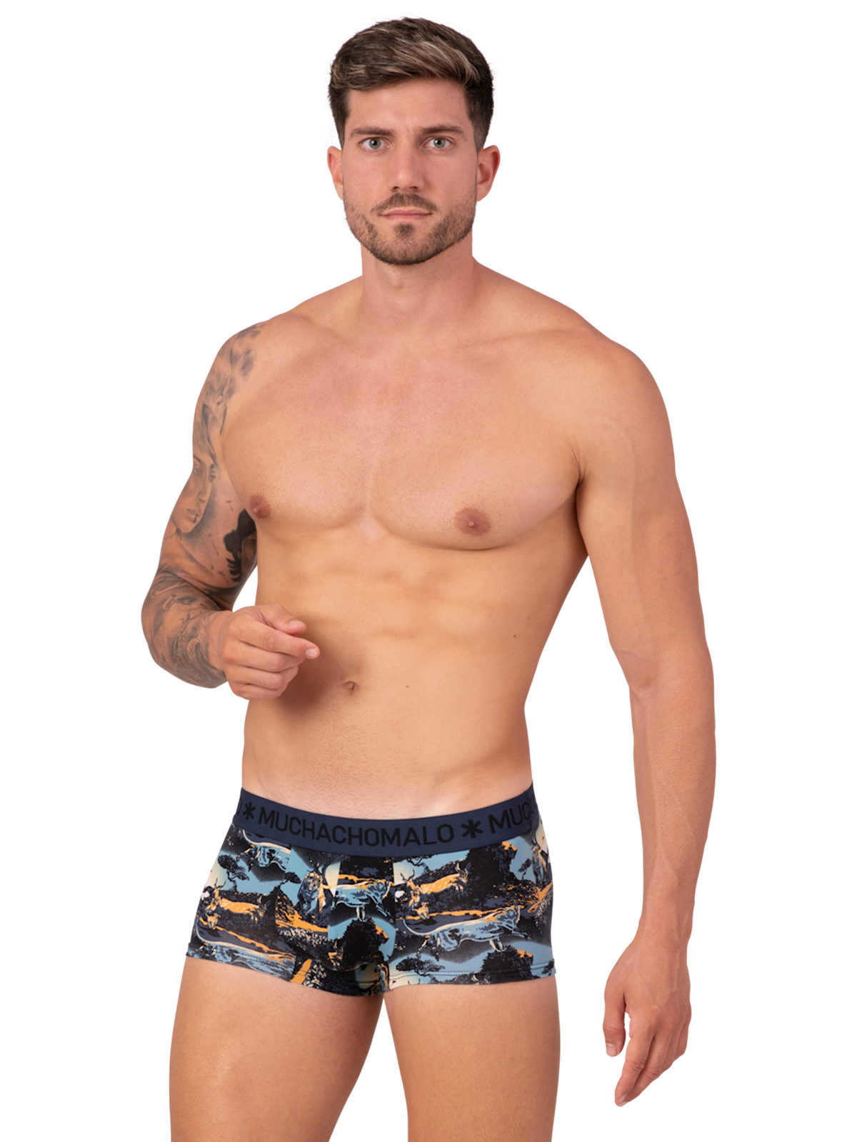 Heren 3-pack Trunks Man Lion