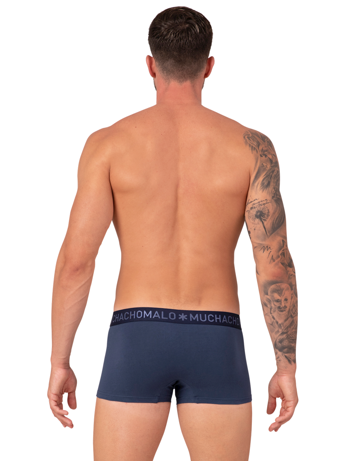 Heren 3-pack Trunks Man Lion