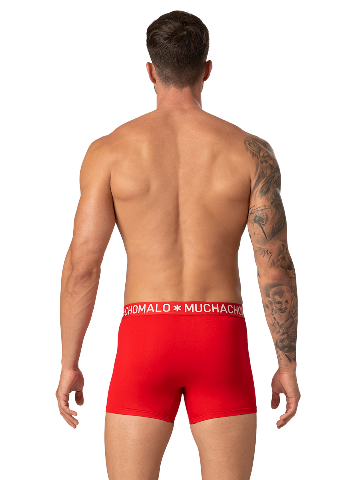 Heren 4-pack Boxershorts Effen Licht Katoen
