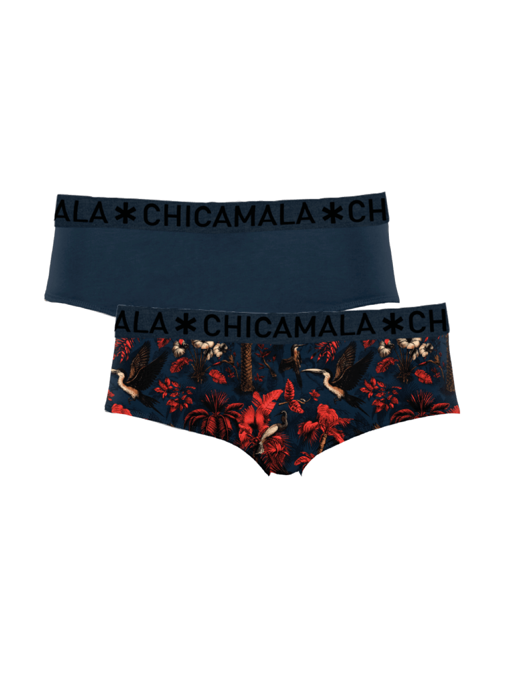 Dames 2-pack Briefs