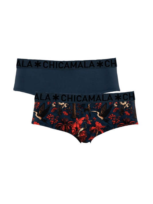 Dames 2-pack Briefs
