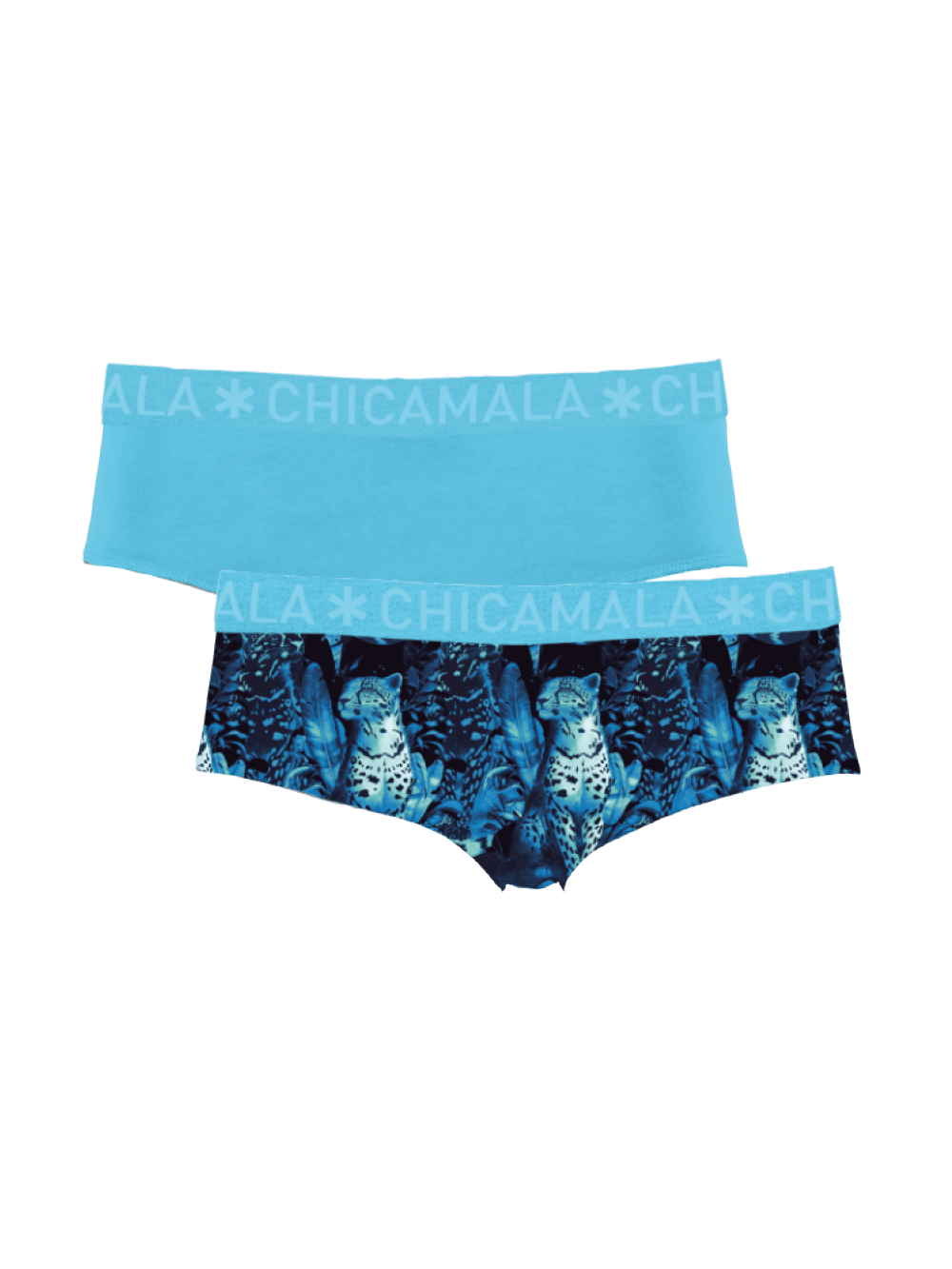 Dames 2-pack Briefs