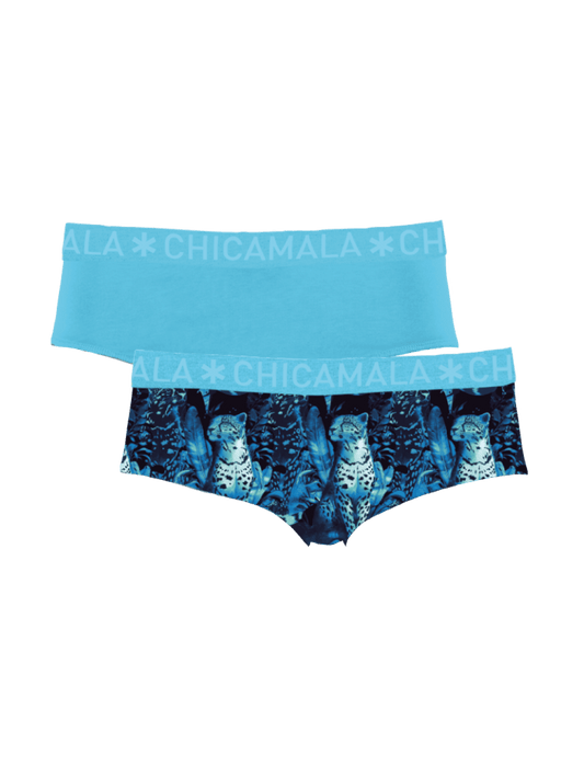 Dames 2-pack Briefs