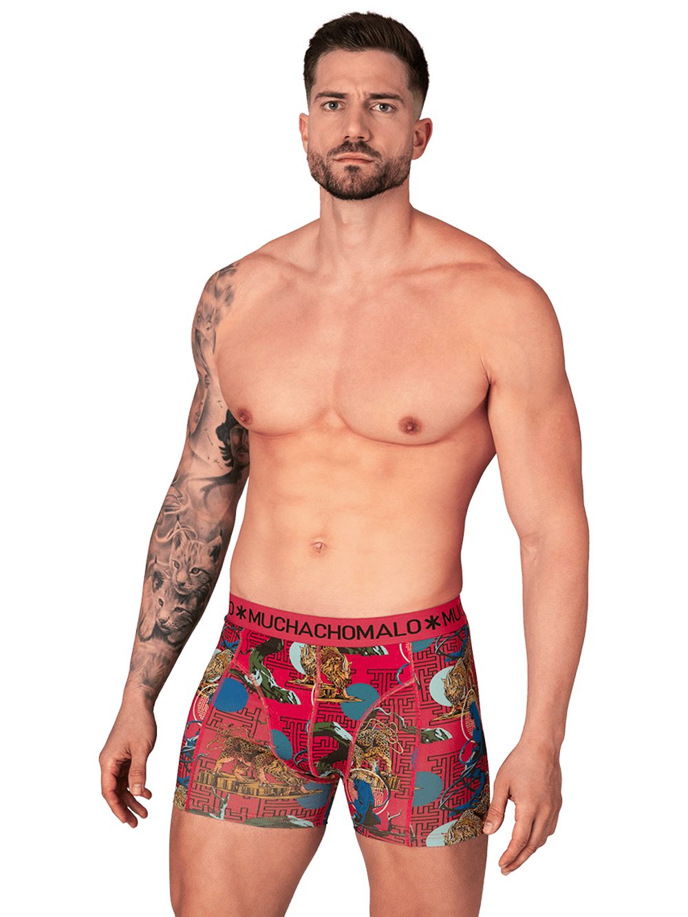 Heren 10-pack Boxershorts