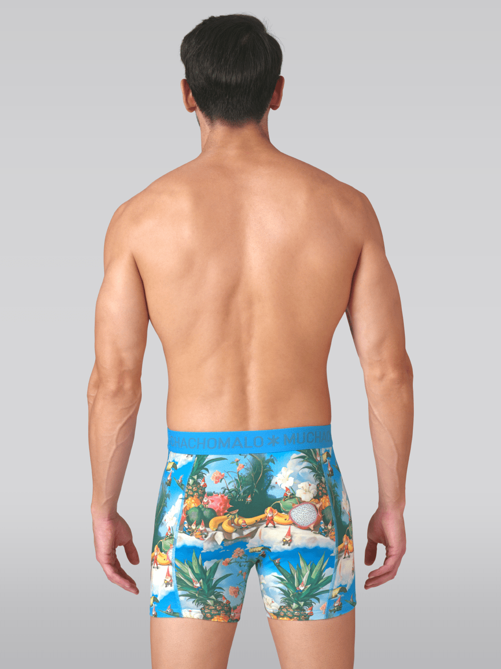 Heren 2-pack Boxershorts Fruit Life