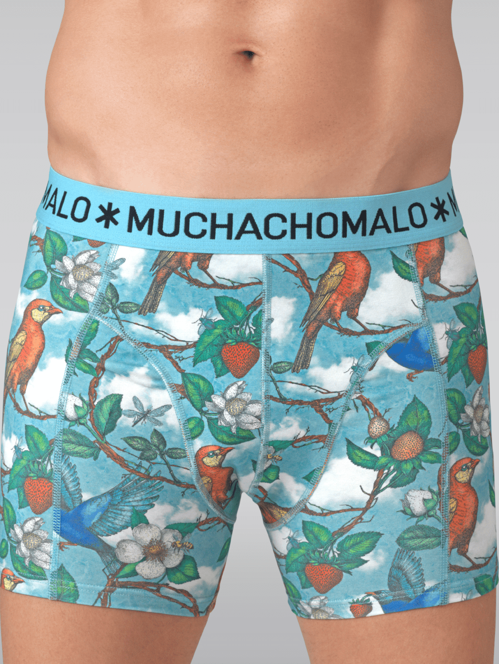 Heren 2-pack Boxershorts Fruit Origin