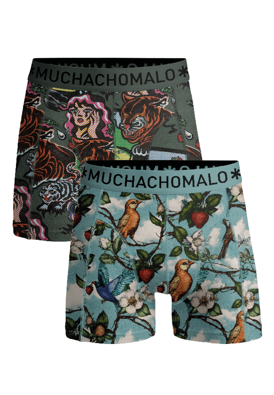 Heren 2-pack Boxershorts Fruit Origin
