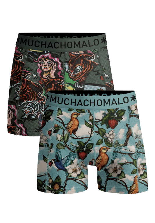 Heren 2-pack Boxershorts Fruit Origin