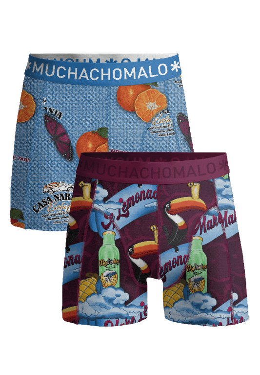 Heren 2-pack Boxershorts Summer Fruit