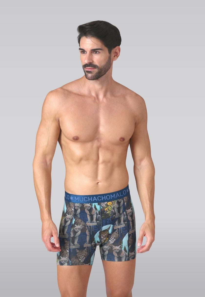 Heren 2-pack Boxershorts