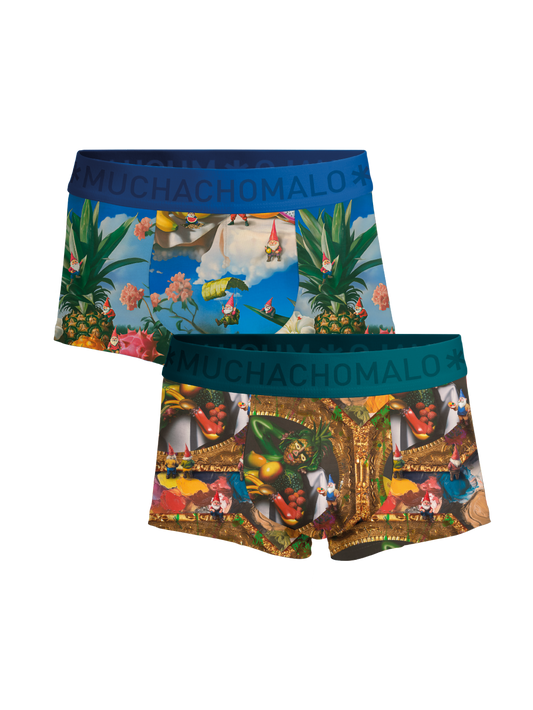 Heren 2-pack Trunks Fruit Life