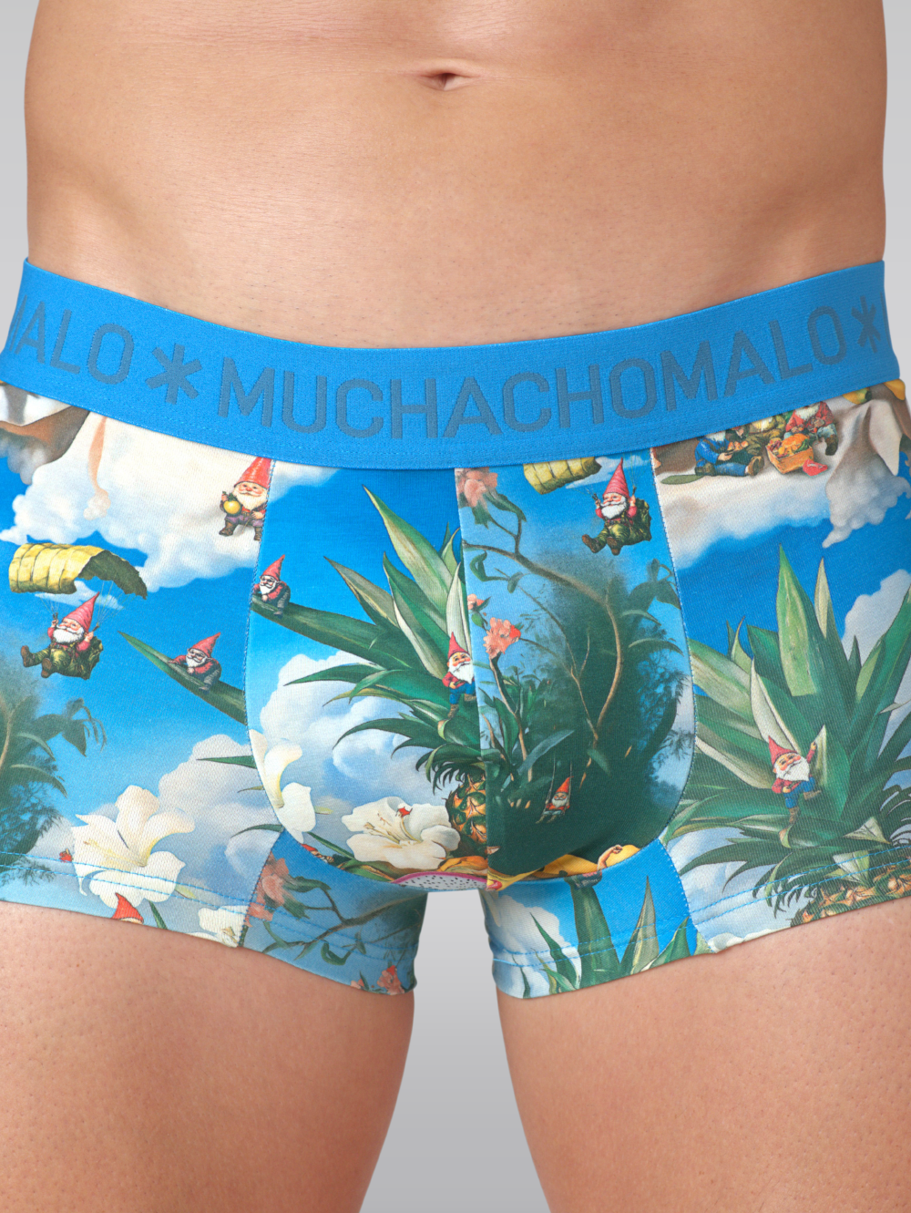 Heren 2-pack Trunks Fruit Life