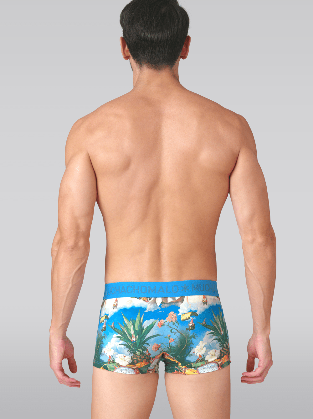 Heren 2-pack Trunks Fruit Life