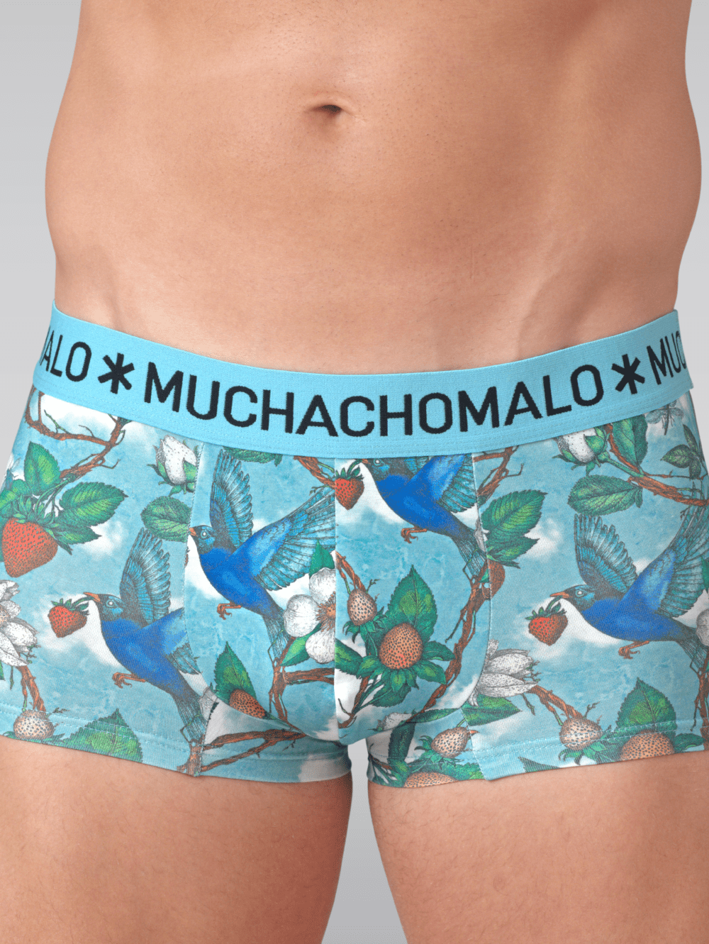 Heren 2-pack Trunks Fruit Origin