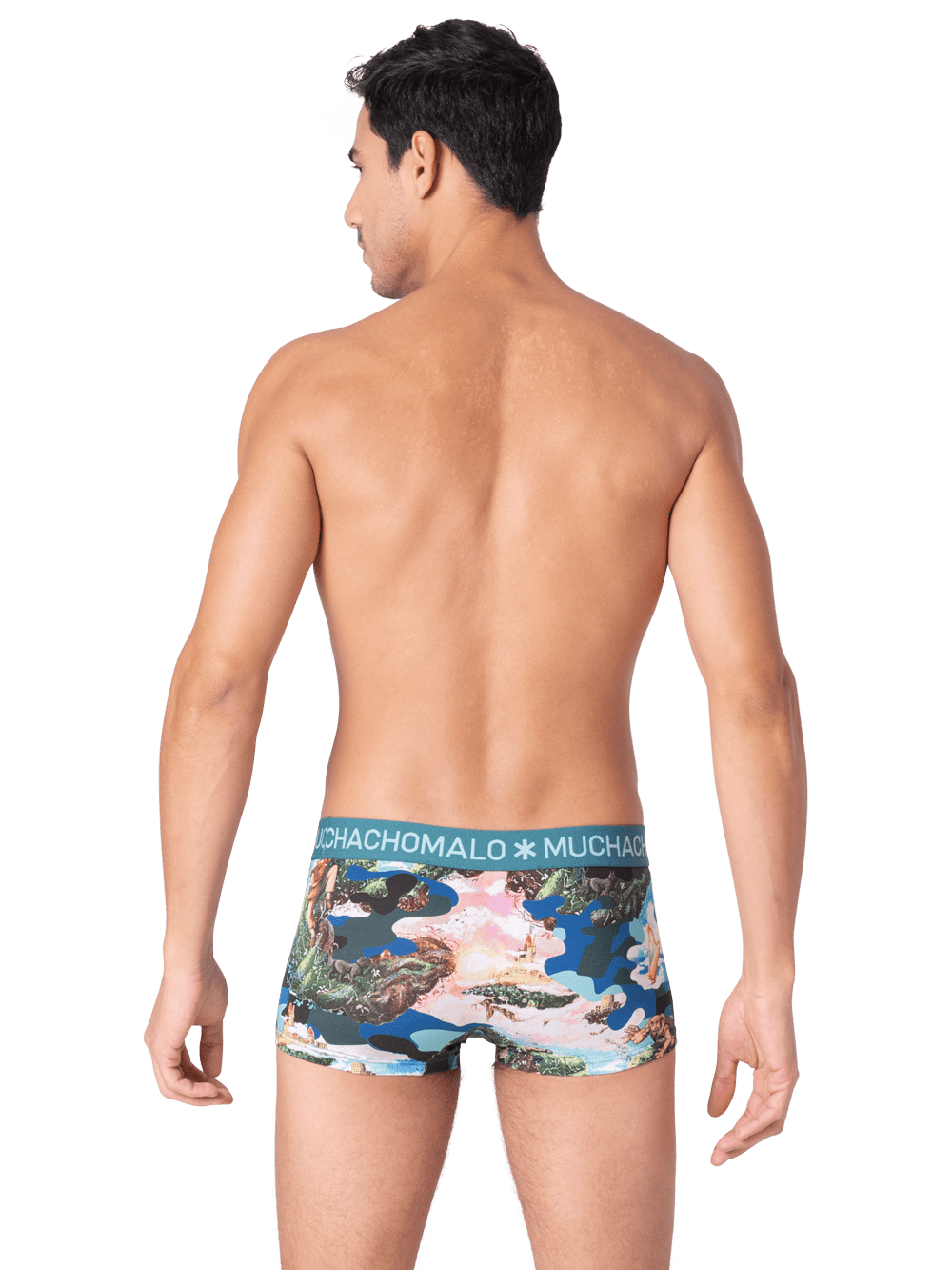 Heren 2-pack Trunks Jackbean Alicewonder