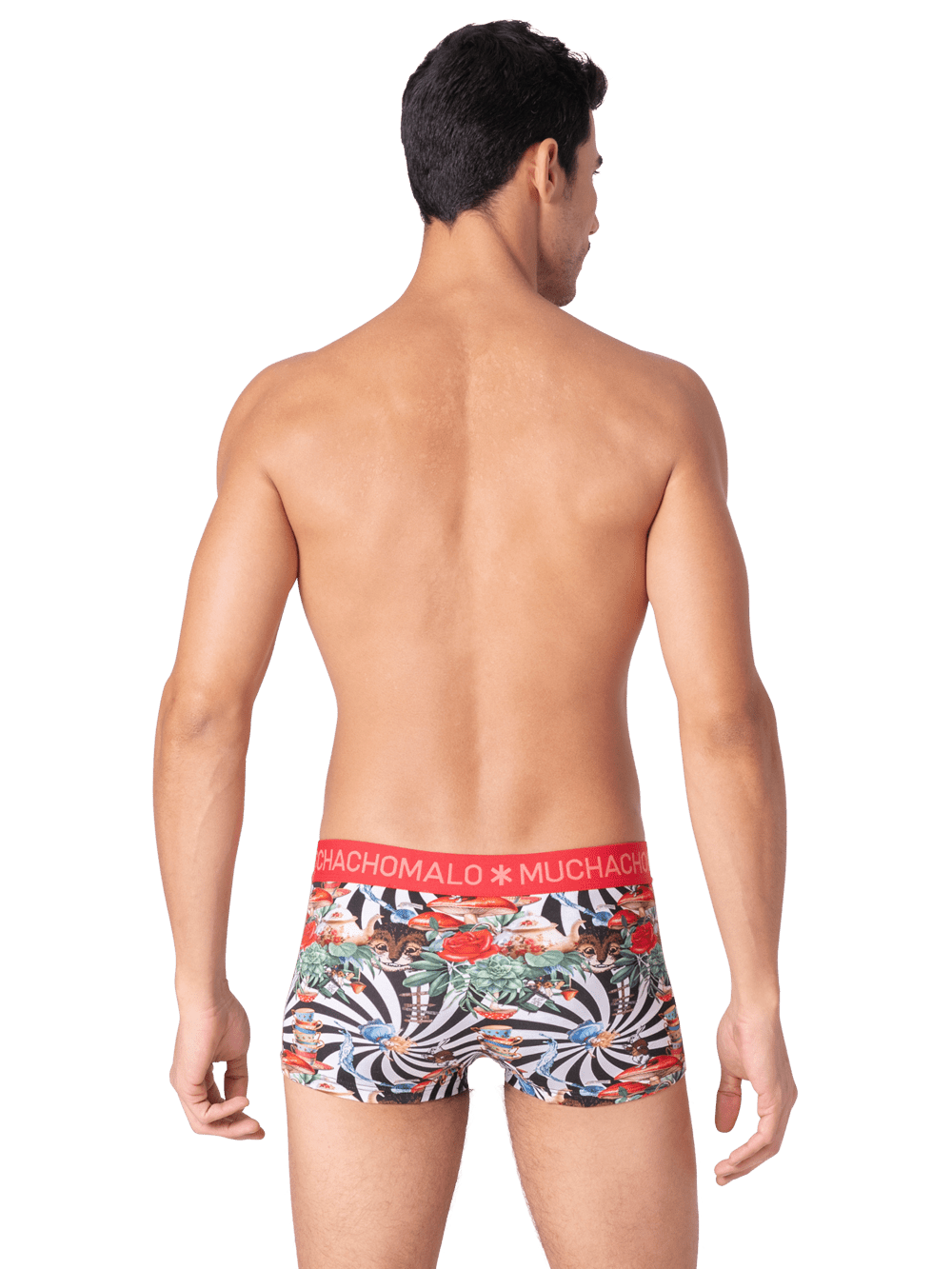Heren 2-pack Trunks Jackbean Alicewonder