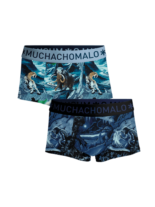Heren 2-pack Trunks Prehistory