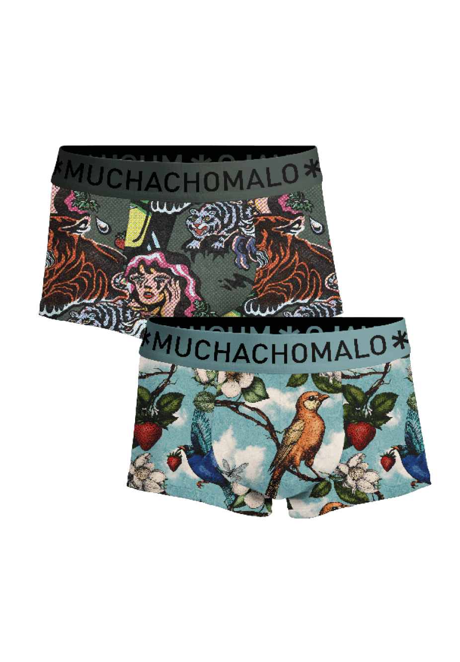 Heren 2-pack Trunks Fruit Origin