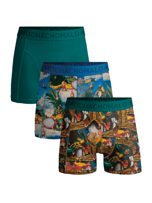 Heren 3-pack Boxershorts Fruit Life