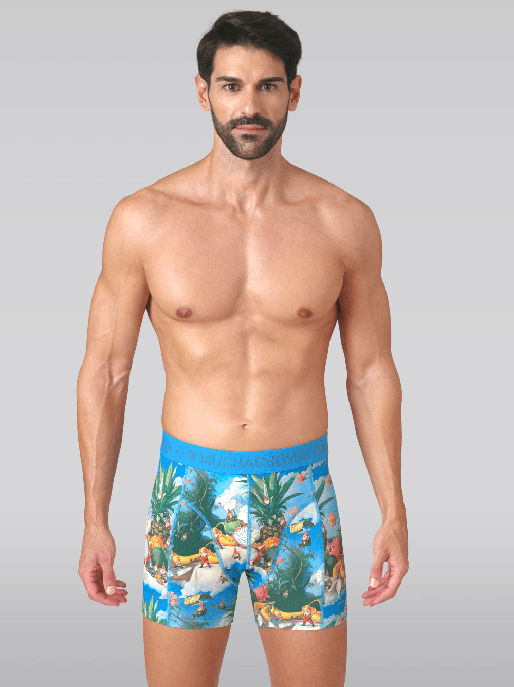 Heren 3-pack Boxershorts Fruit Life