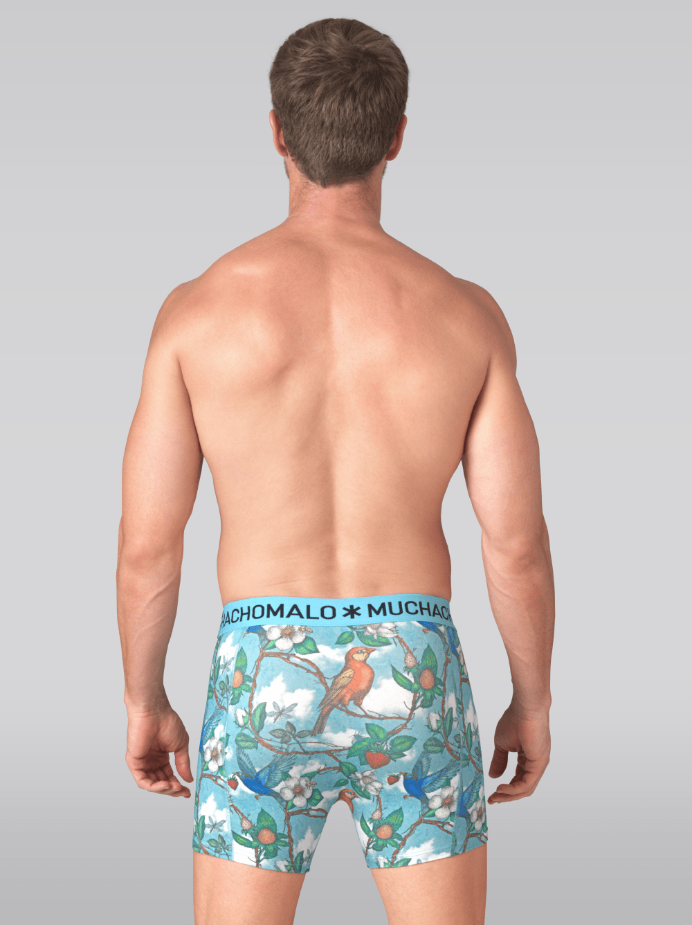 Heren 3-pack Boxershorts Fruit Origin
