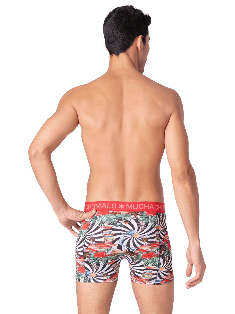 Heren 3-pack Boxershorts Jackbean Alicewonder