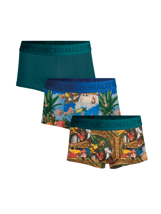 Heren 3-pack Trunks Fruit Life