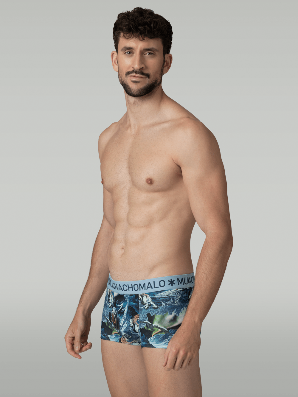 Heren 3-pack Trunks Prehistory