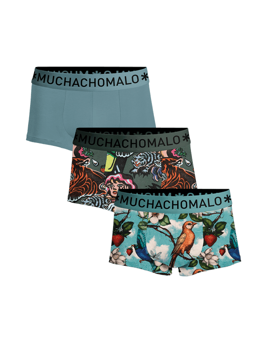 Heren 3-pack Trunks Fruit Origin