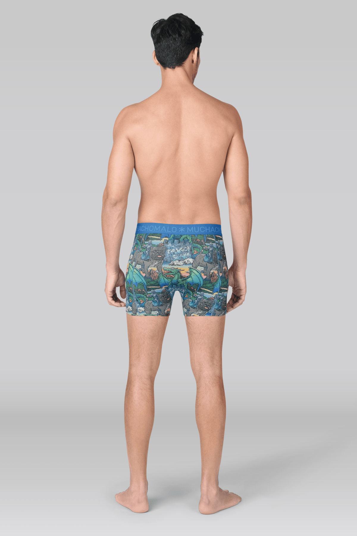 Heren 5-pack Boxershorts