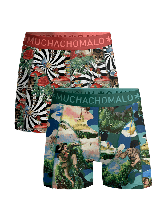Jongens 2-pack Boxershorts Jackbean Alicewonder